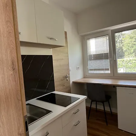 Apartment Vojkova
