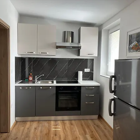 Vojkova Apartment *