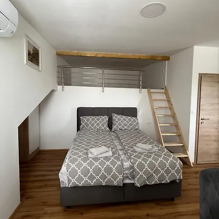 Vojkova Apartment