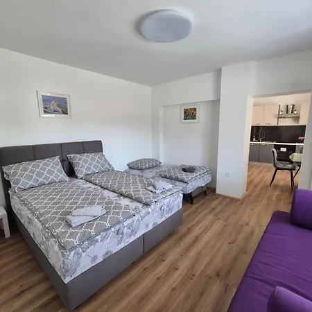Apartment Vojkova *