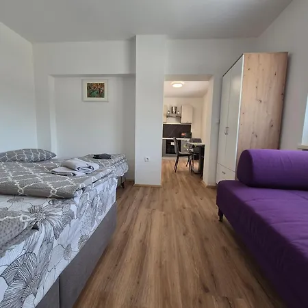 Apartment Vojkova