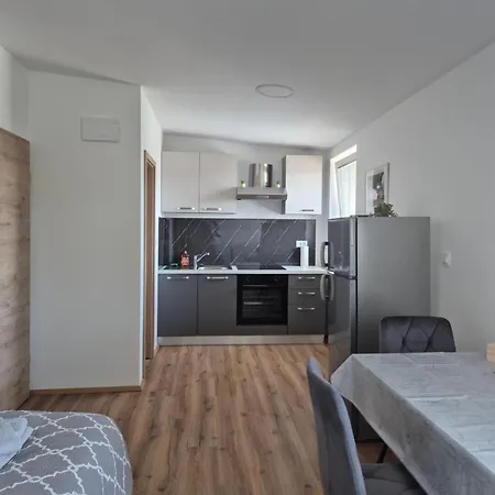 Apartment Vojkova *