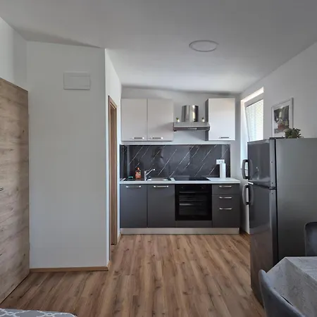 Vojkova Apartment