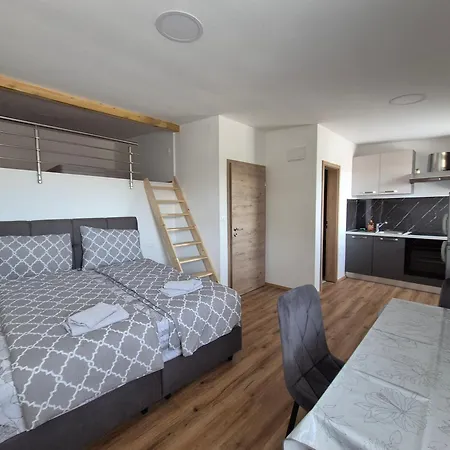 Apartment Vojkova *