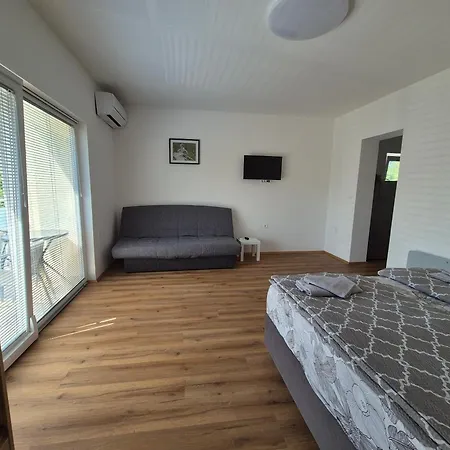 Apartment Vojkova *