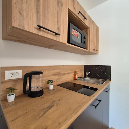 Apartment Vojkova *