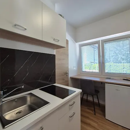 Apartment Vojkova *