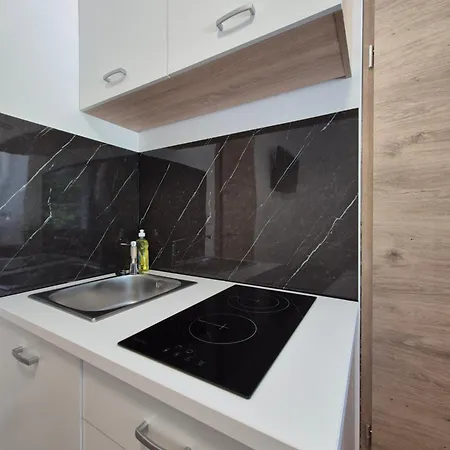 Apartment Vojkova *