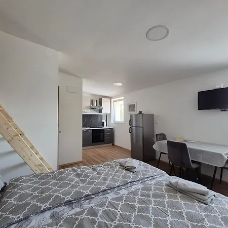 Vojkova Любляна