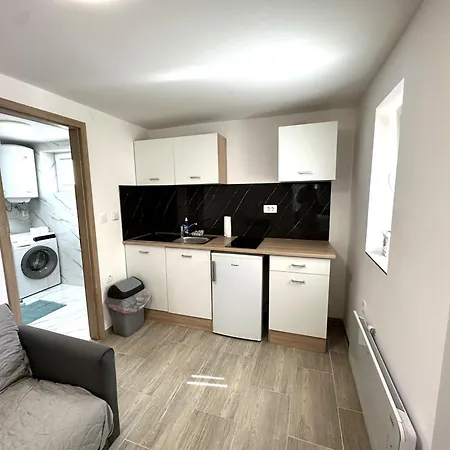 Vojkova Apartma *