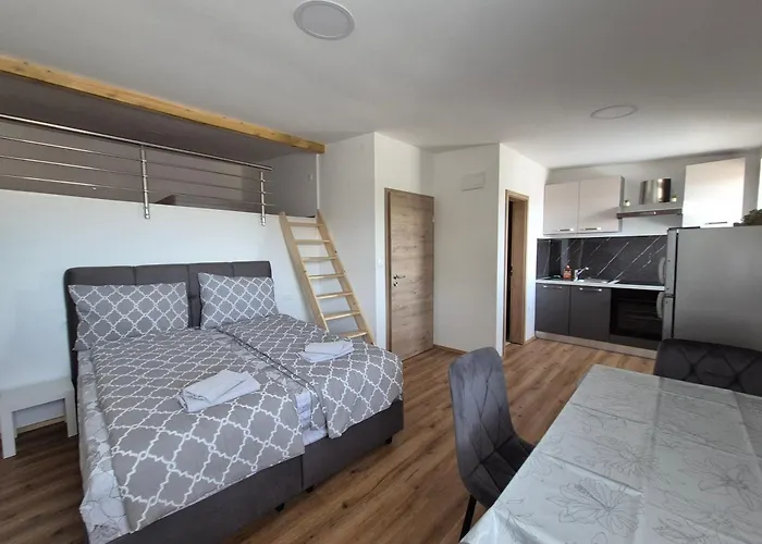 Apartamento Vojkova *