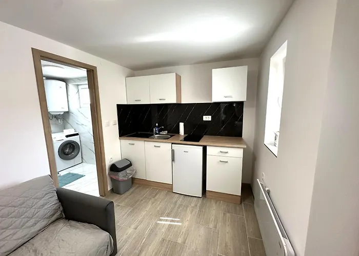 Vojkova Apartamento *